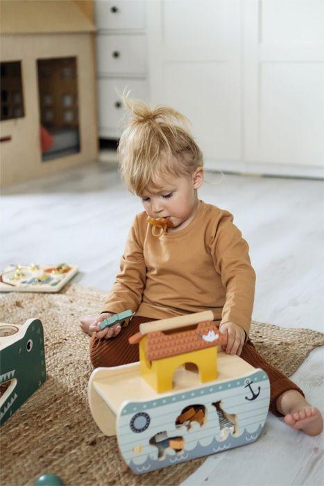 Vorderes Coverbild Steckspiel Arche Noah "Safari"