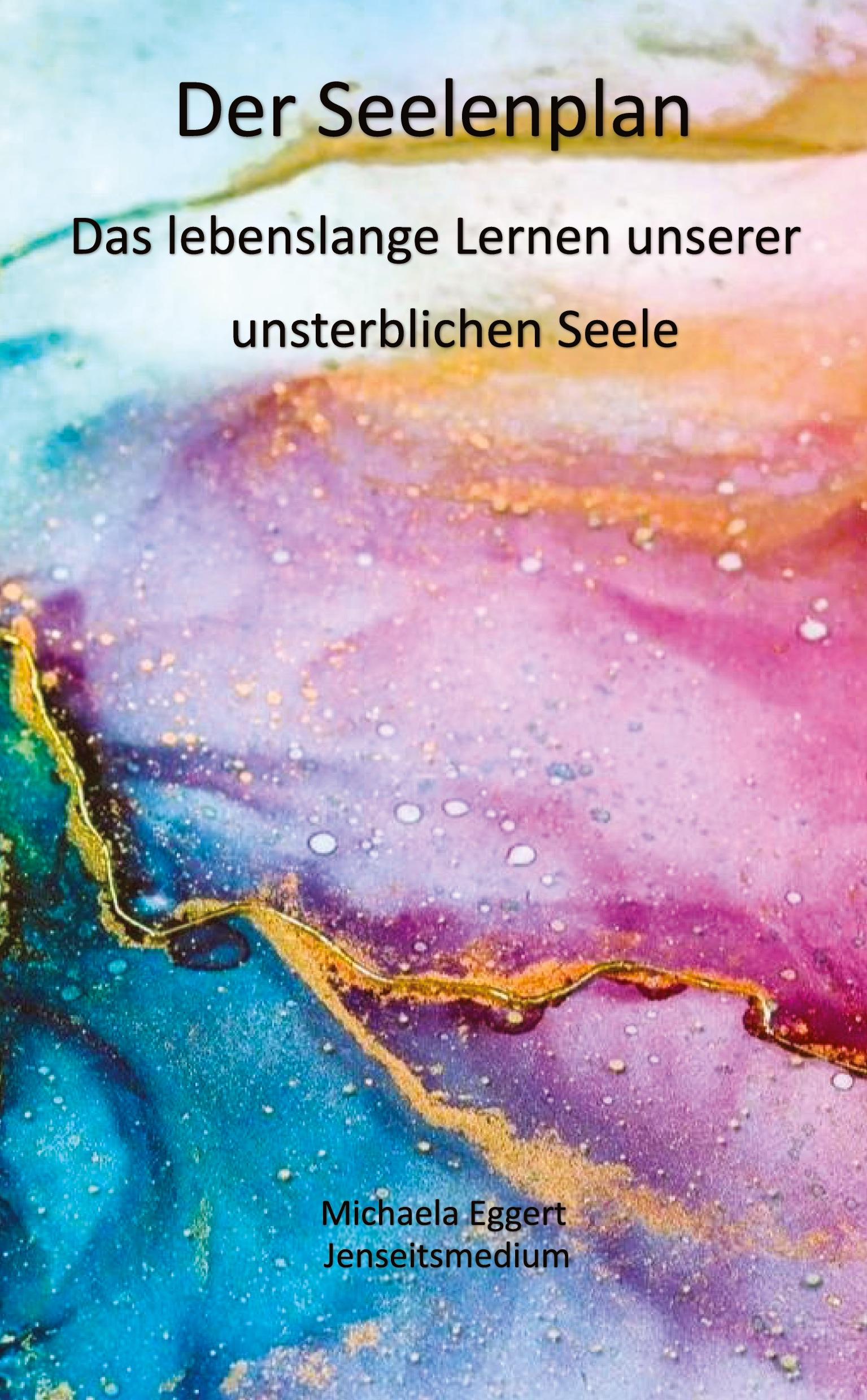 Vorderes Coverbild Der Seelenplan