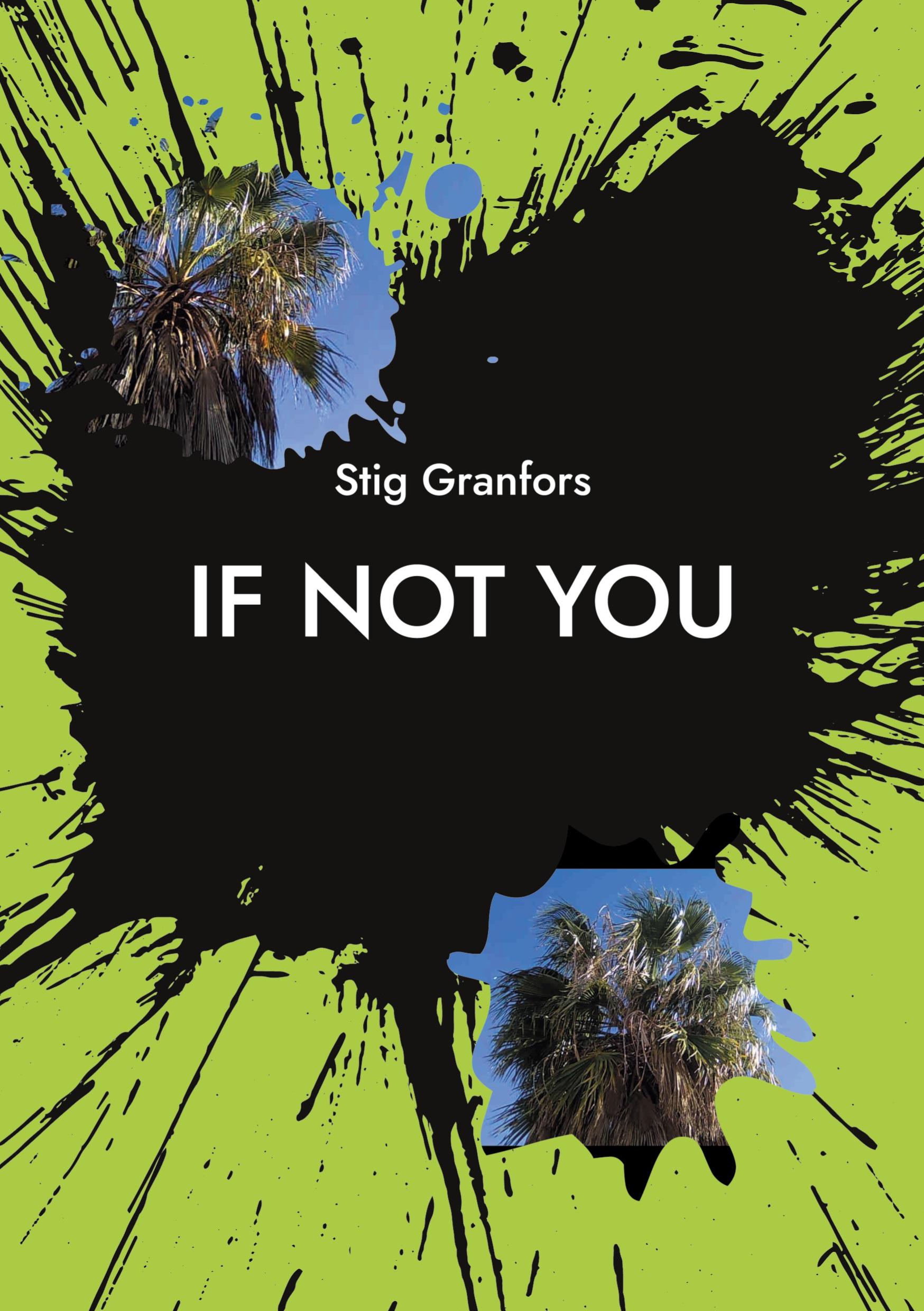 Vorderes Coverbild If not you