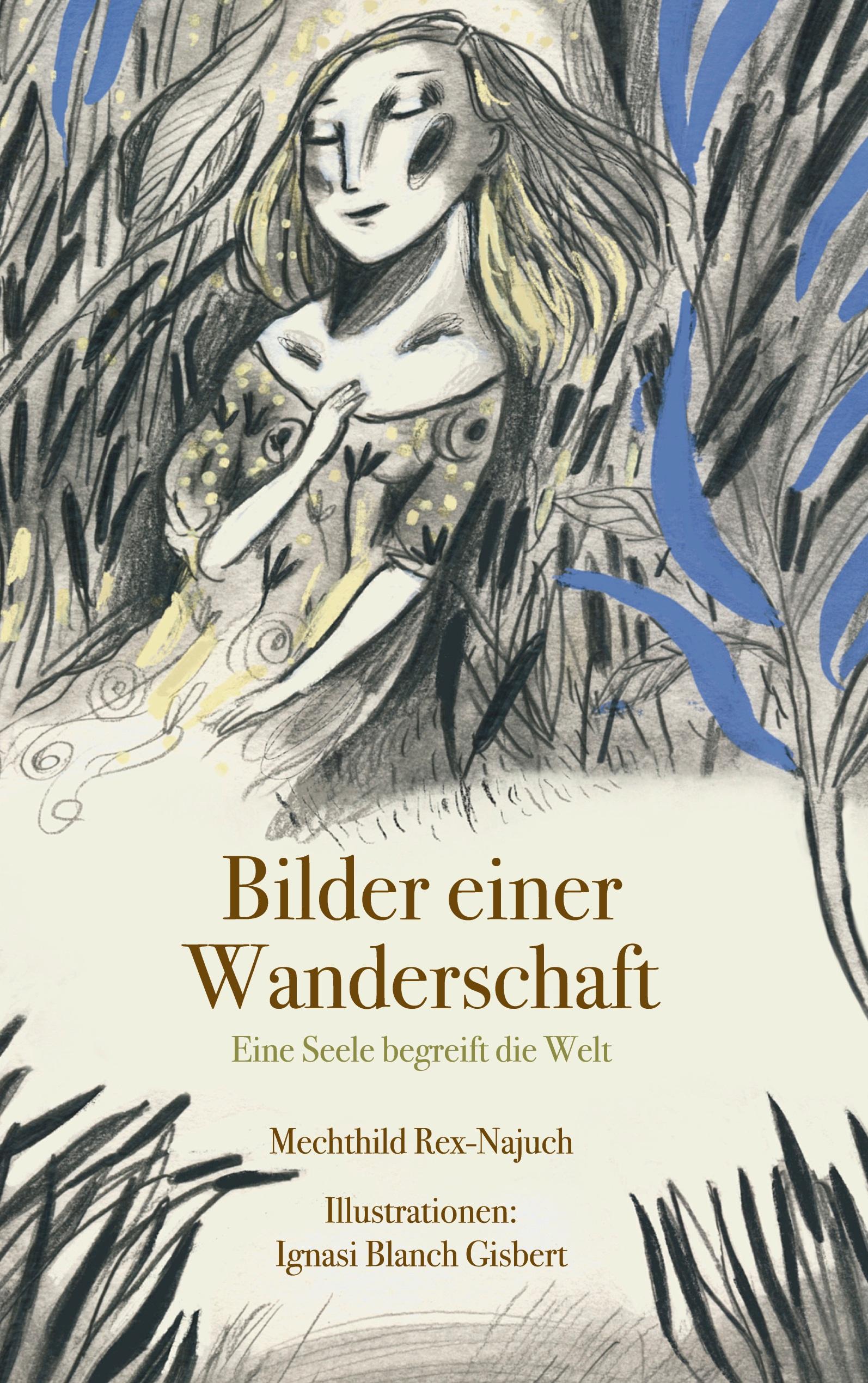 Vorderes Coverbild Bilder einer Wanderschaft