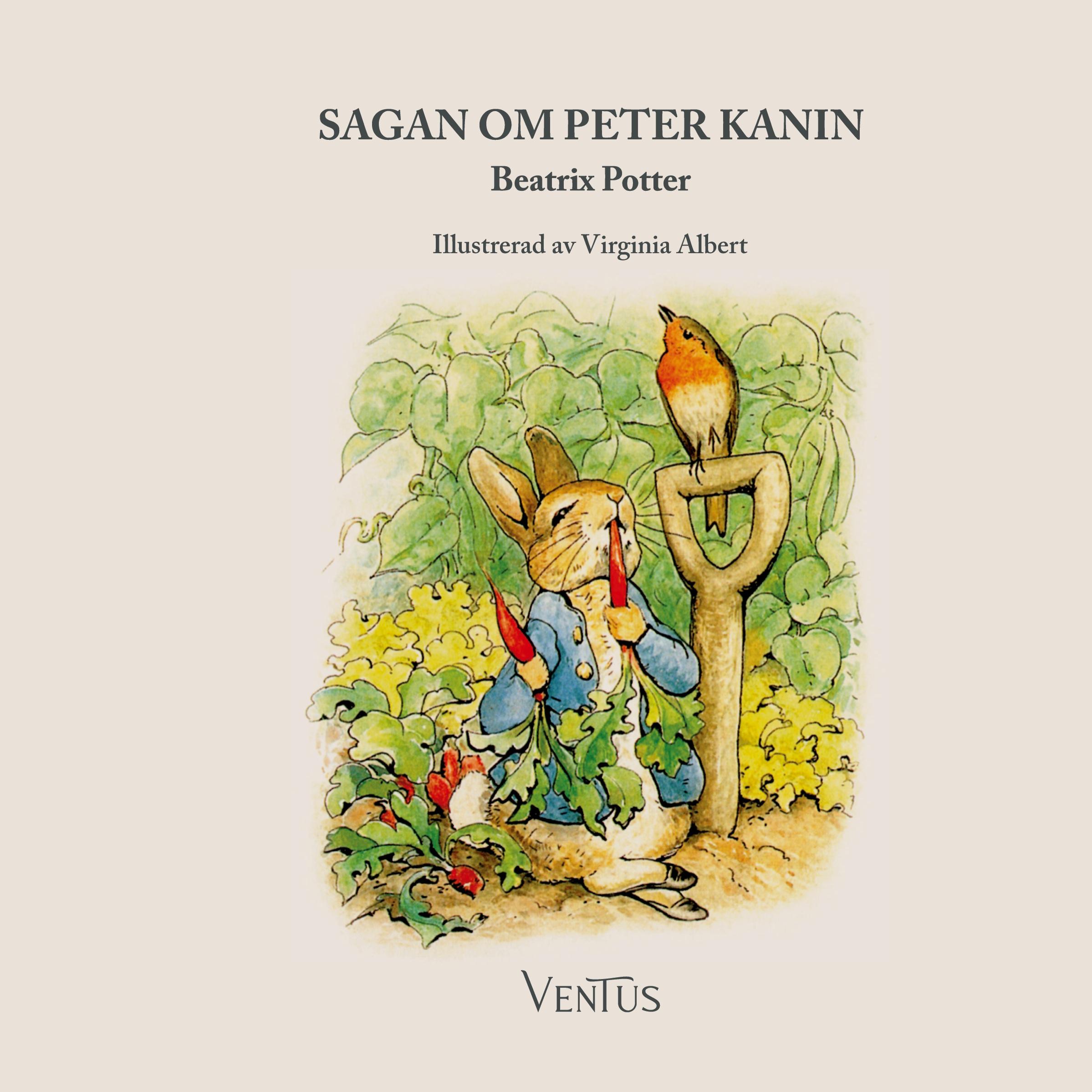 Vorderes Coverbild Sagan om Peter Kanin