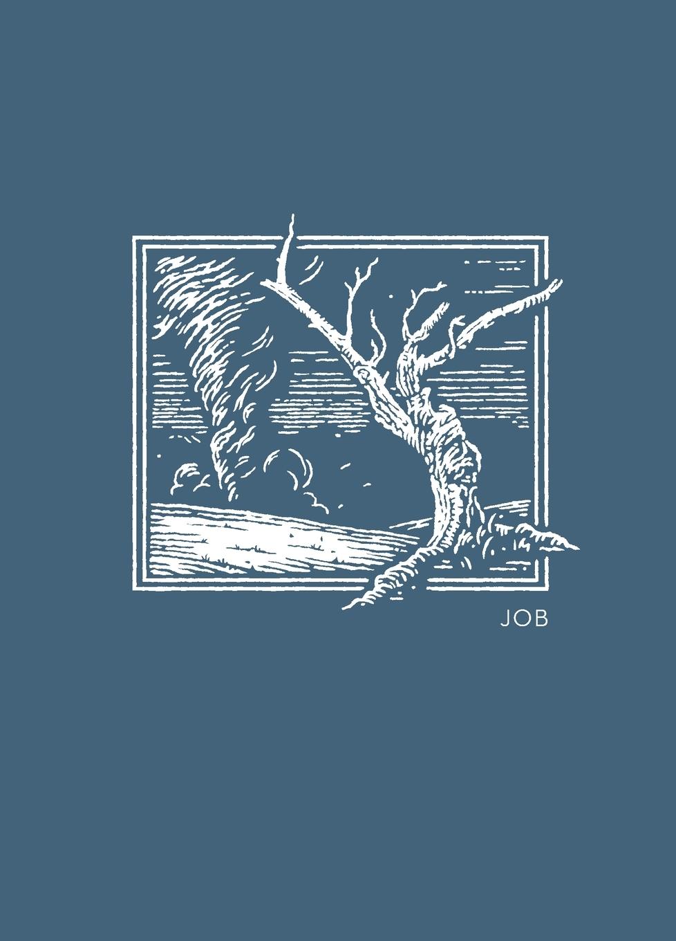 Vorderes Coverbild La NET Abide Bible Journal - Job, Paperback, Comfort Print Softcover