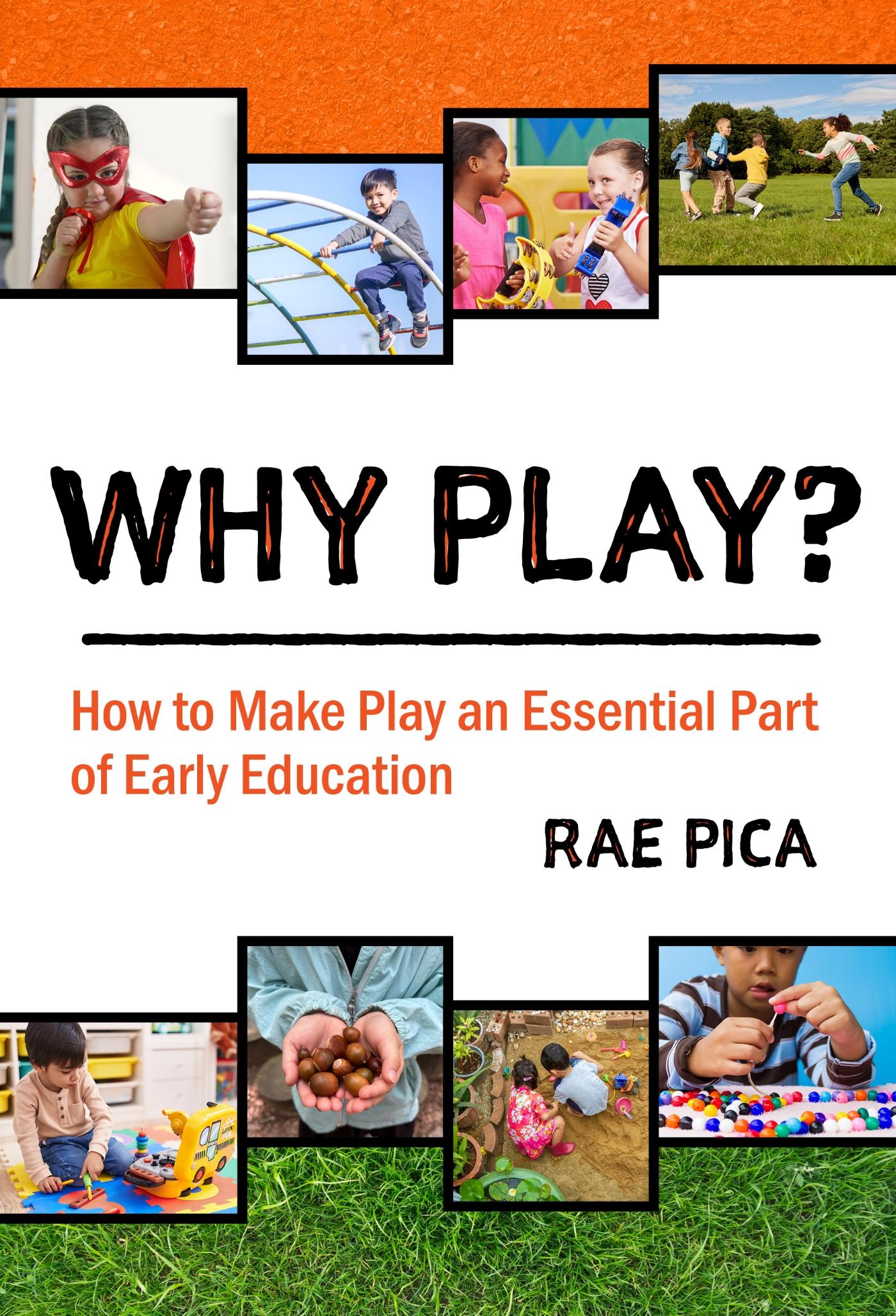 Vorderes Coverbild Why Play?