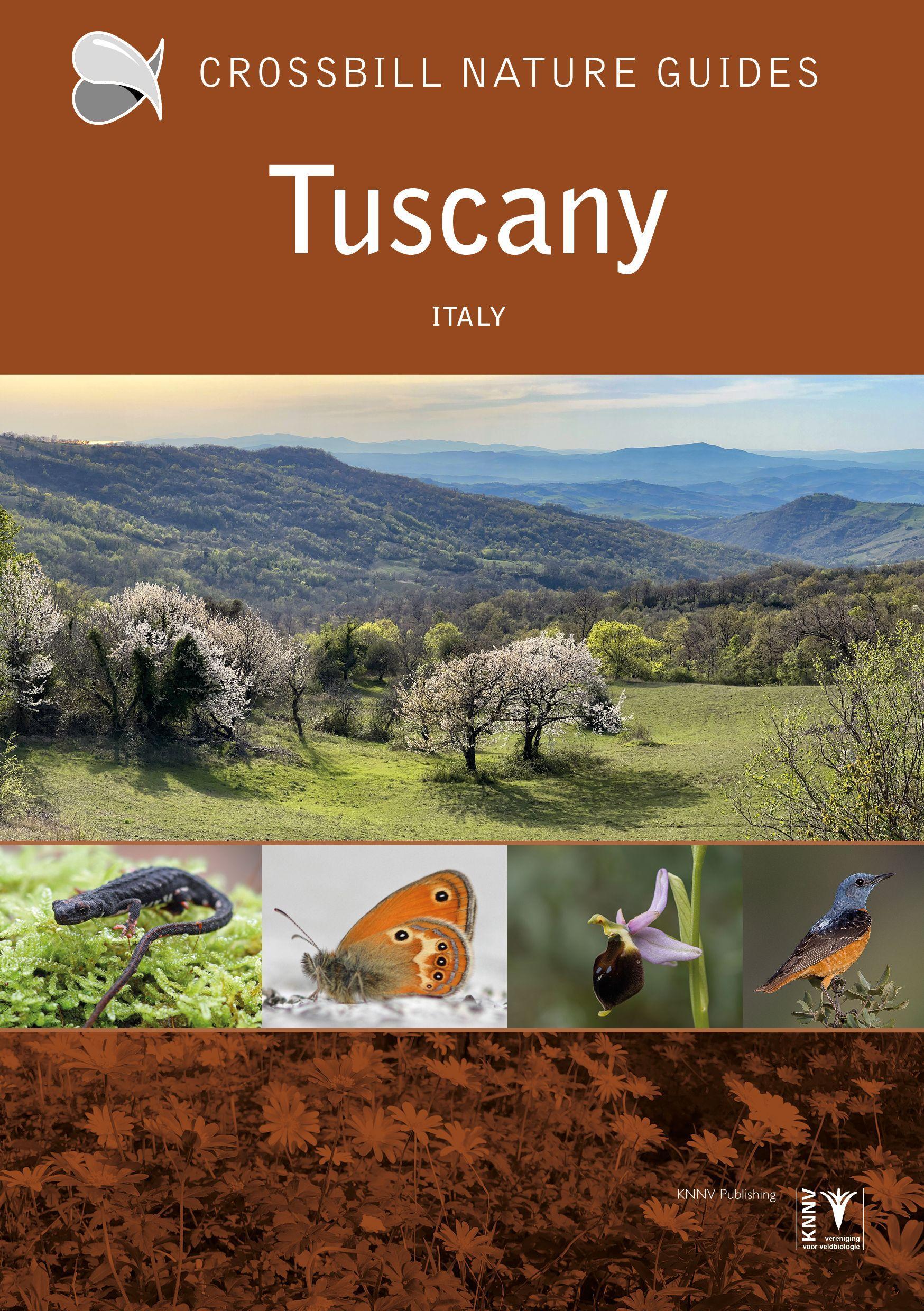 Vorderes Coverbild Tuscany