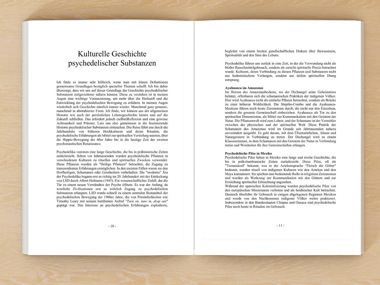 Beispielinhalt (Bild) Psychedelika: Reisen an die Grenzen des Bewusstseins