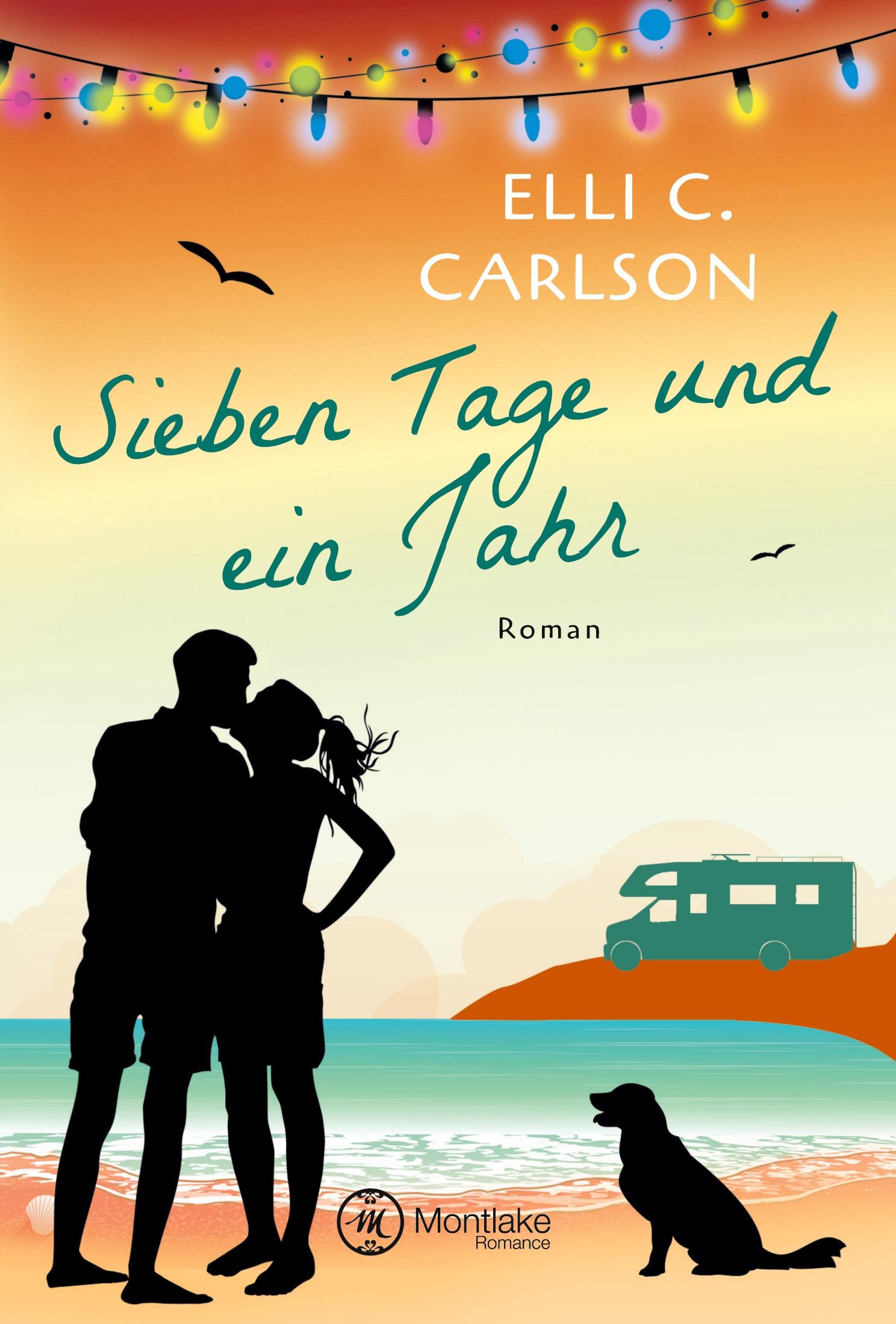 Vorderes Coverbild Sieben Tage und ein Jahr