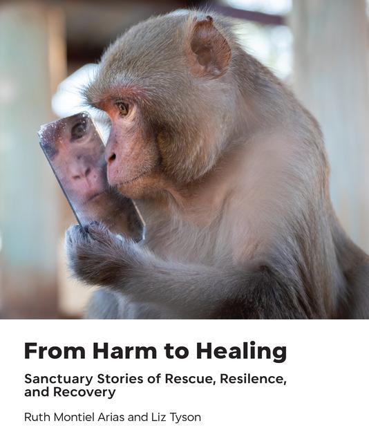 Vorderes Coverbild From Harm to Healing