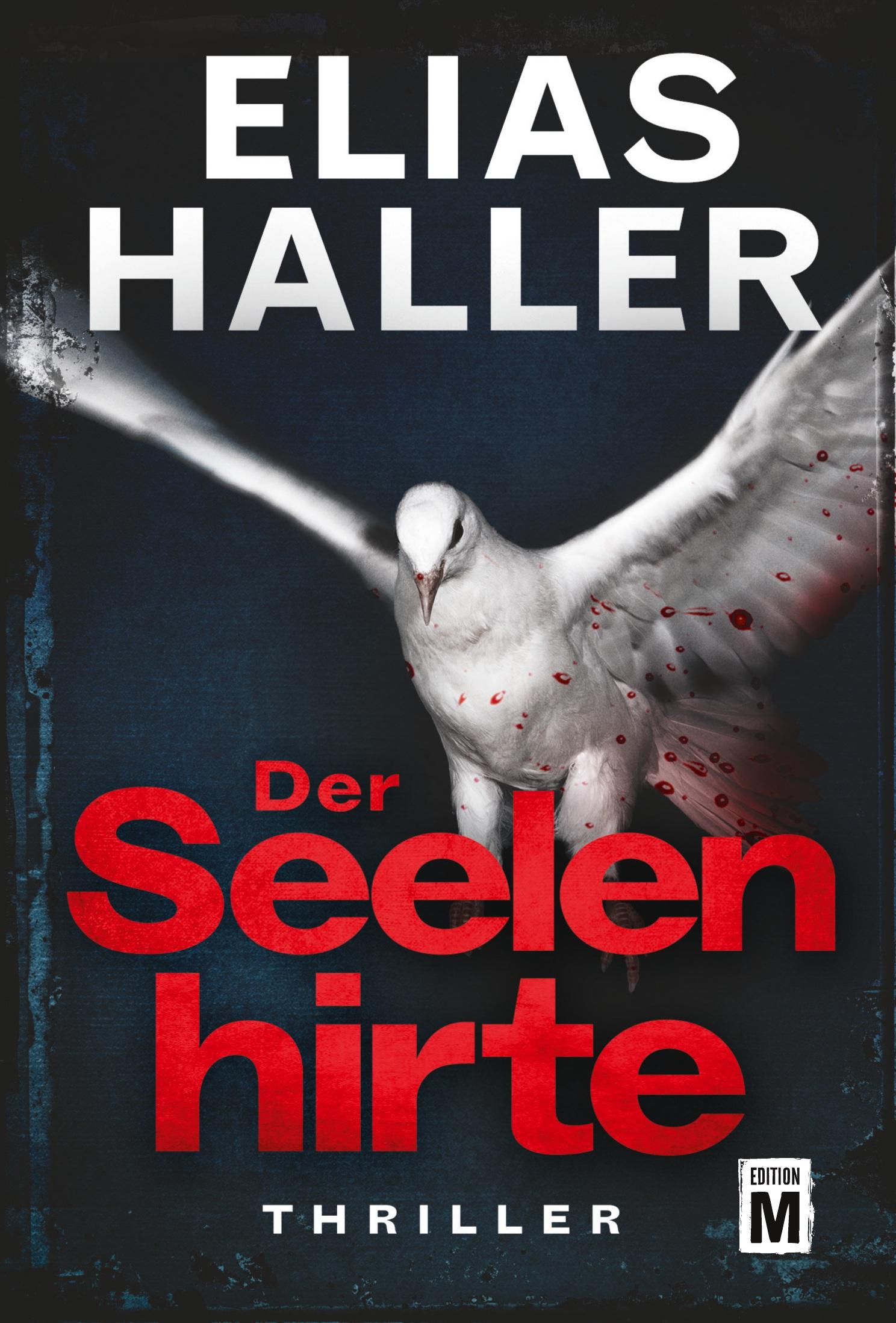 Vorderes Coverbild Der Seelenhirte