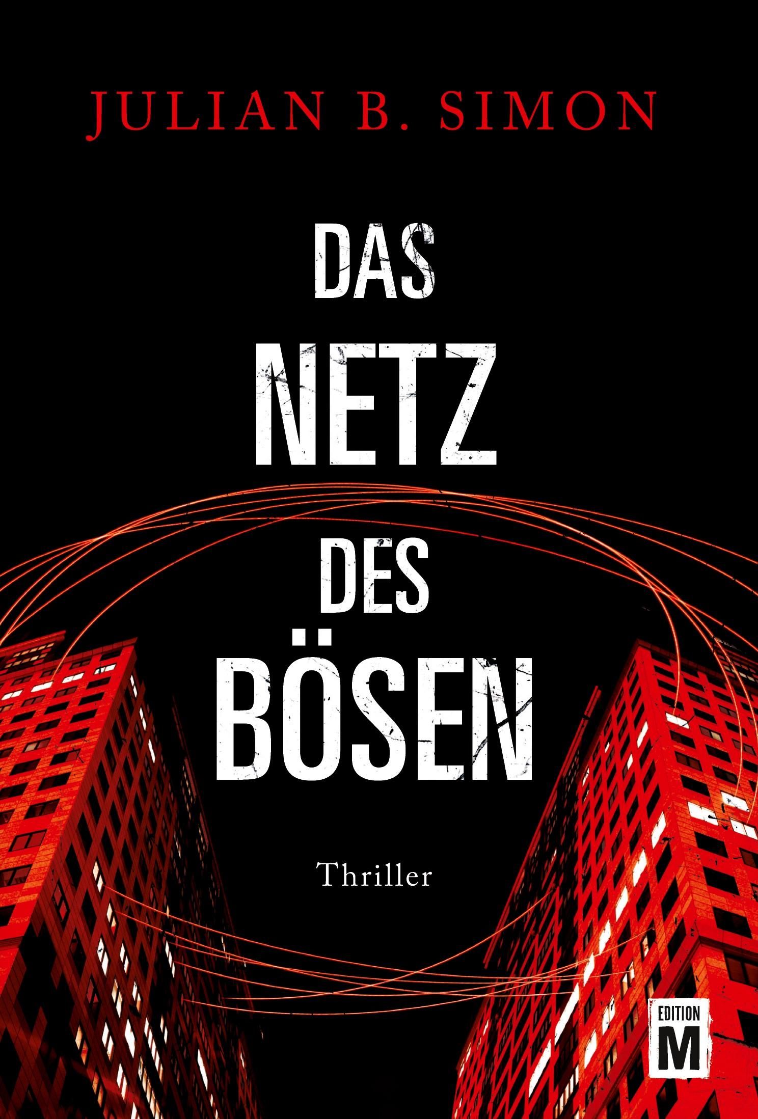 Vorderes Coverbild Das Netz des Bösen