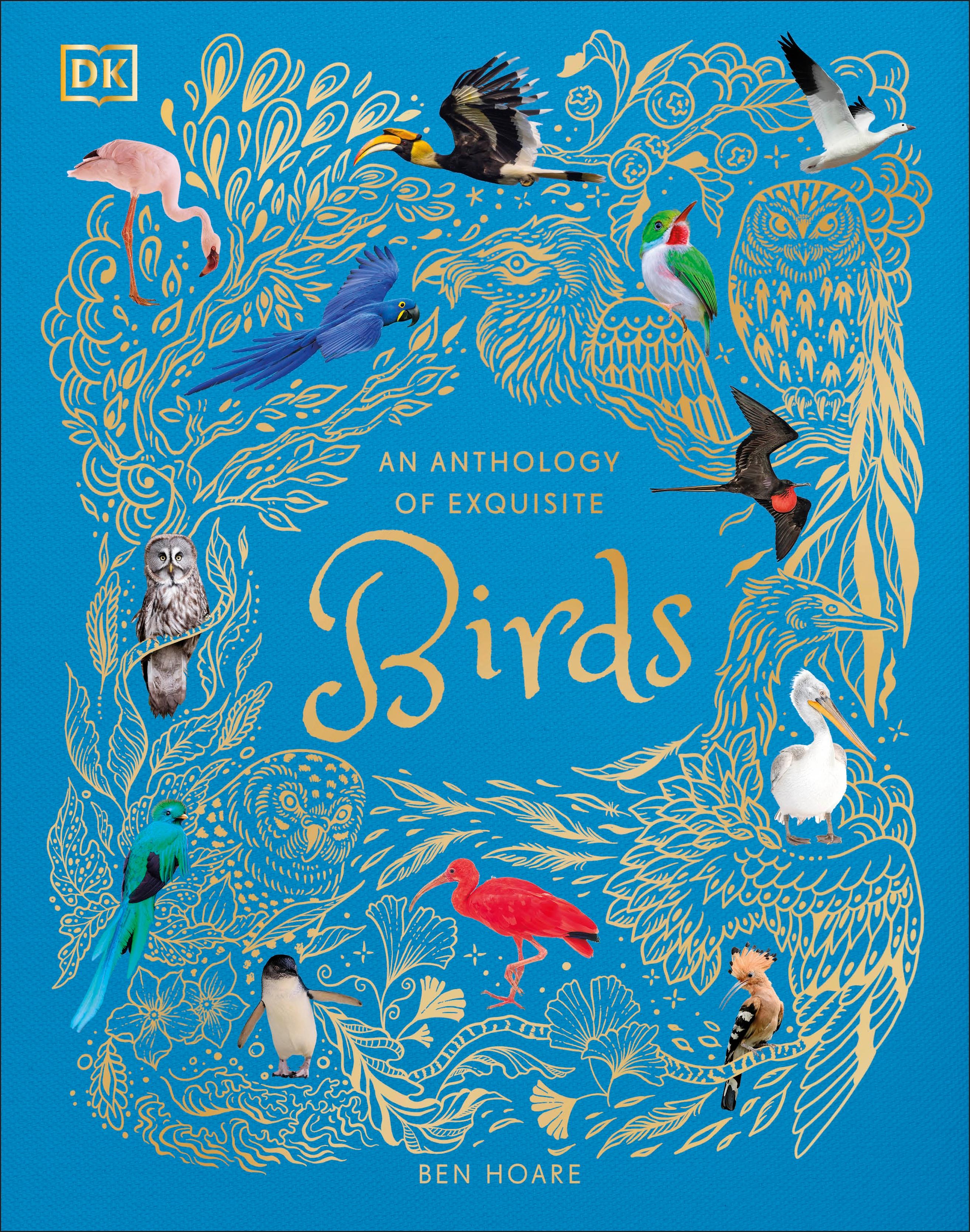 Vorderes Coverbild An Anthology of Exquisite Birds