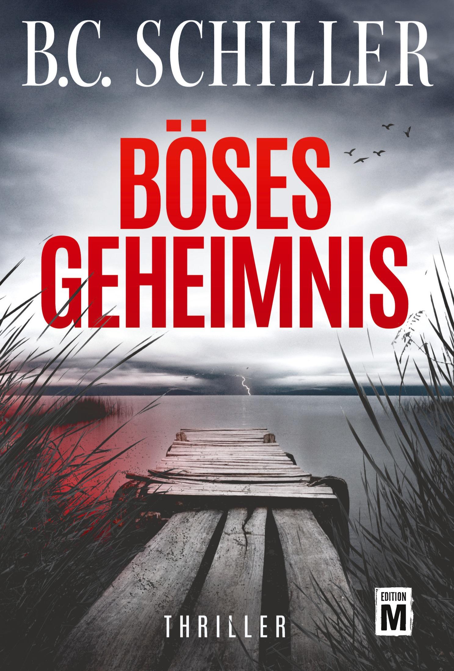 Vorderes Coverbild Böses Geheimnis