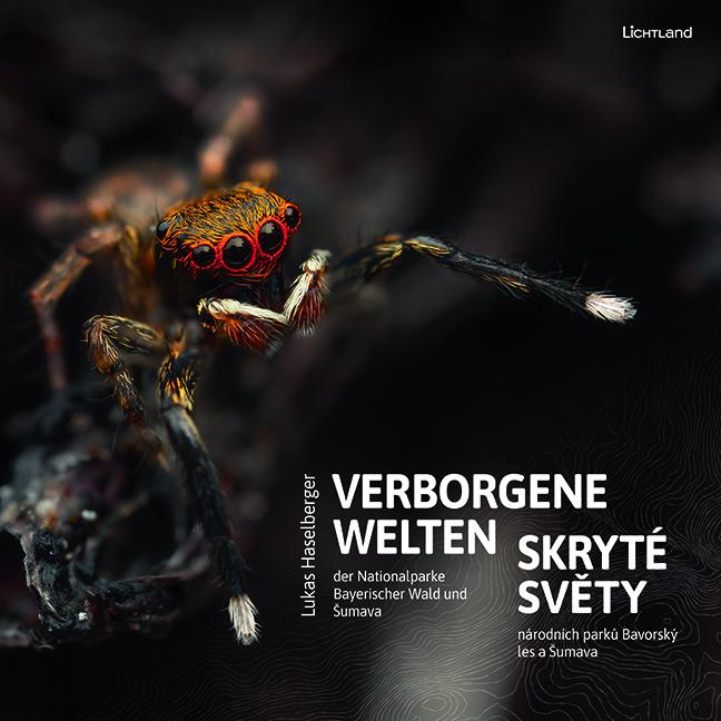 Vorderes Coverbild Verborgene Welten