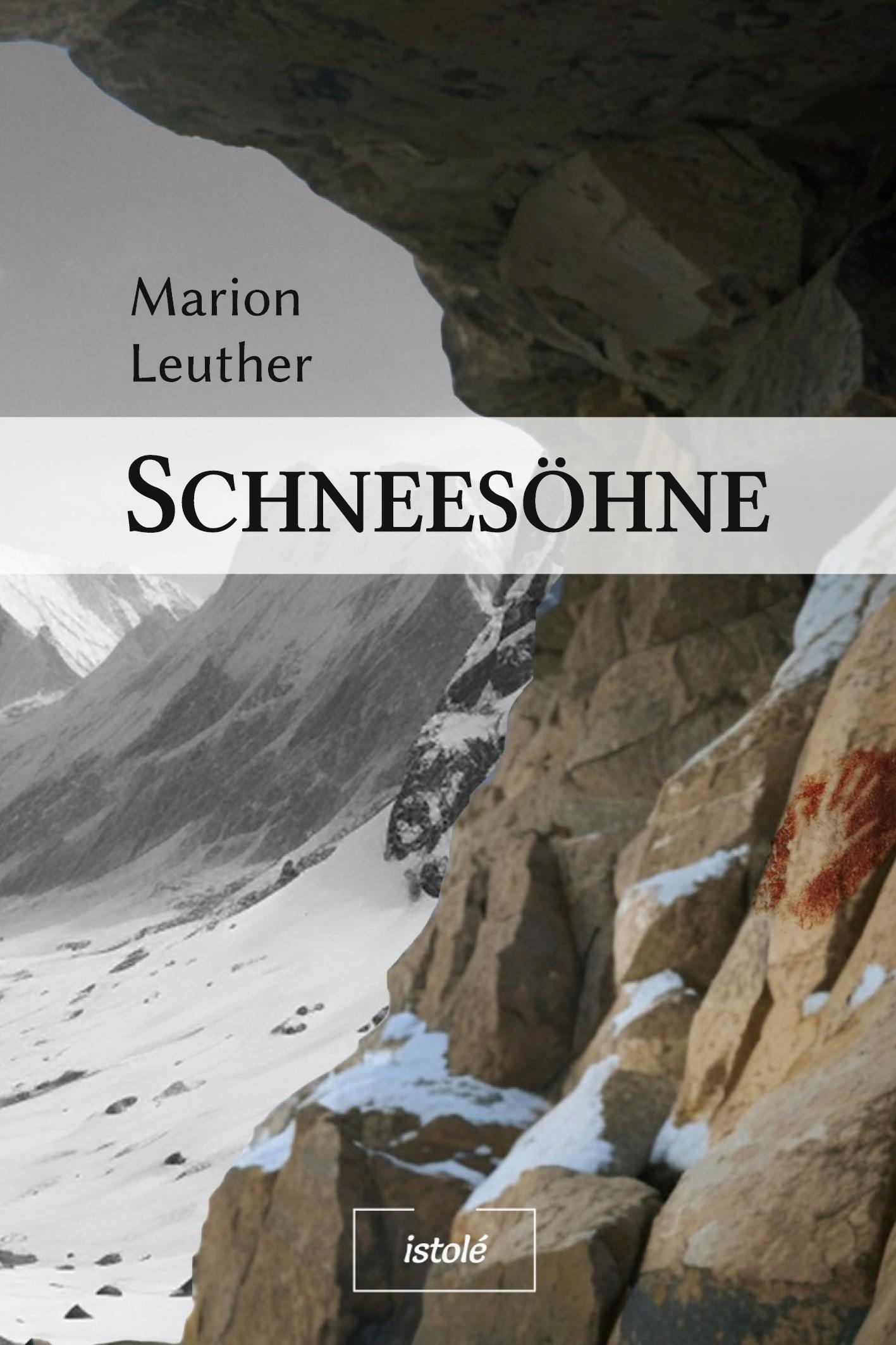 Vorderes Coverbild Schneesöhne