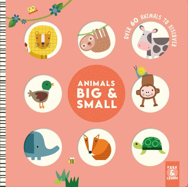 Vorderes Coverbild Animals Big & Small