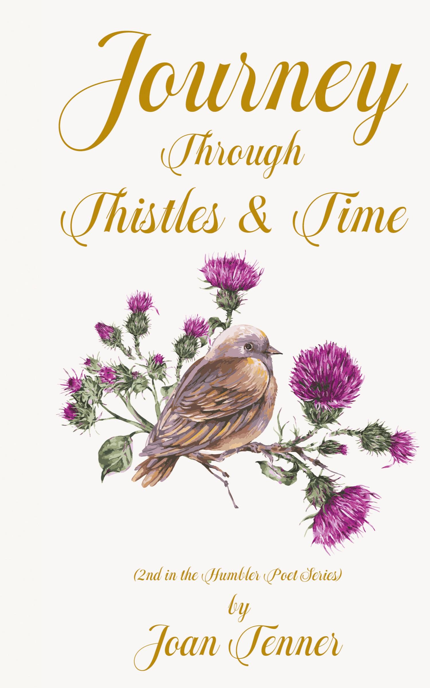 Vorderes Coverbild Journey Through Thistles & Time
