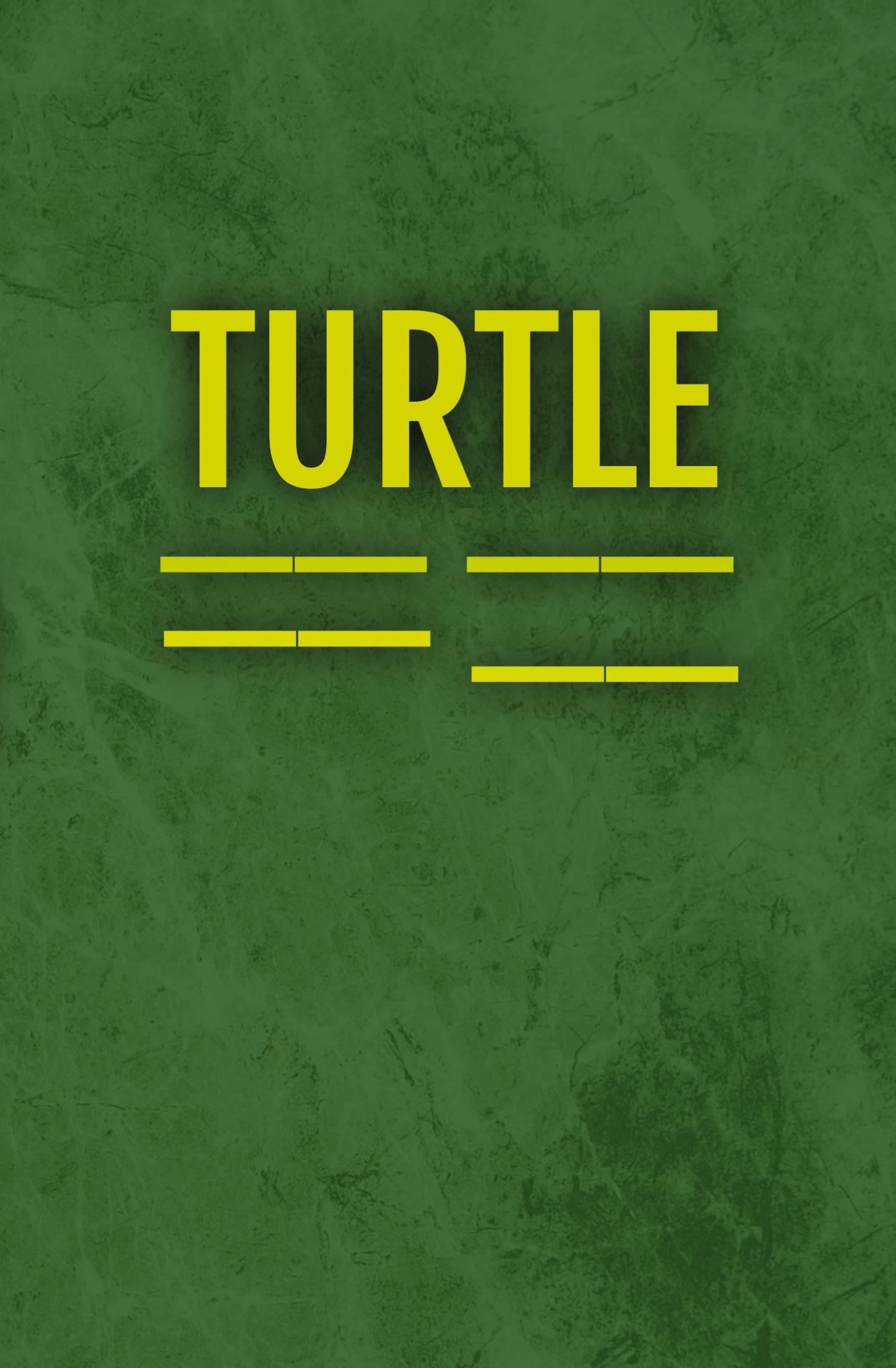 Vorderes Coverbild Turtle