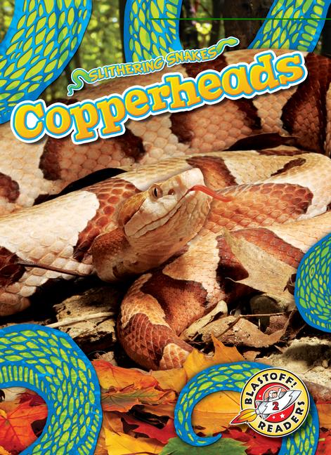 Vorderes Coverbild Copperheads