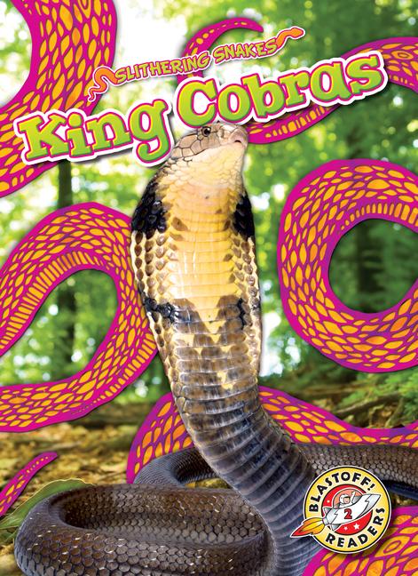 Vorderes Coverbild King Cobras