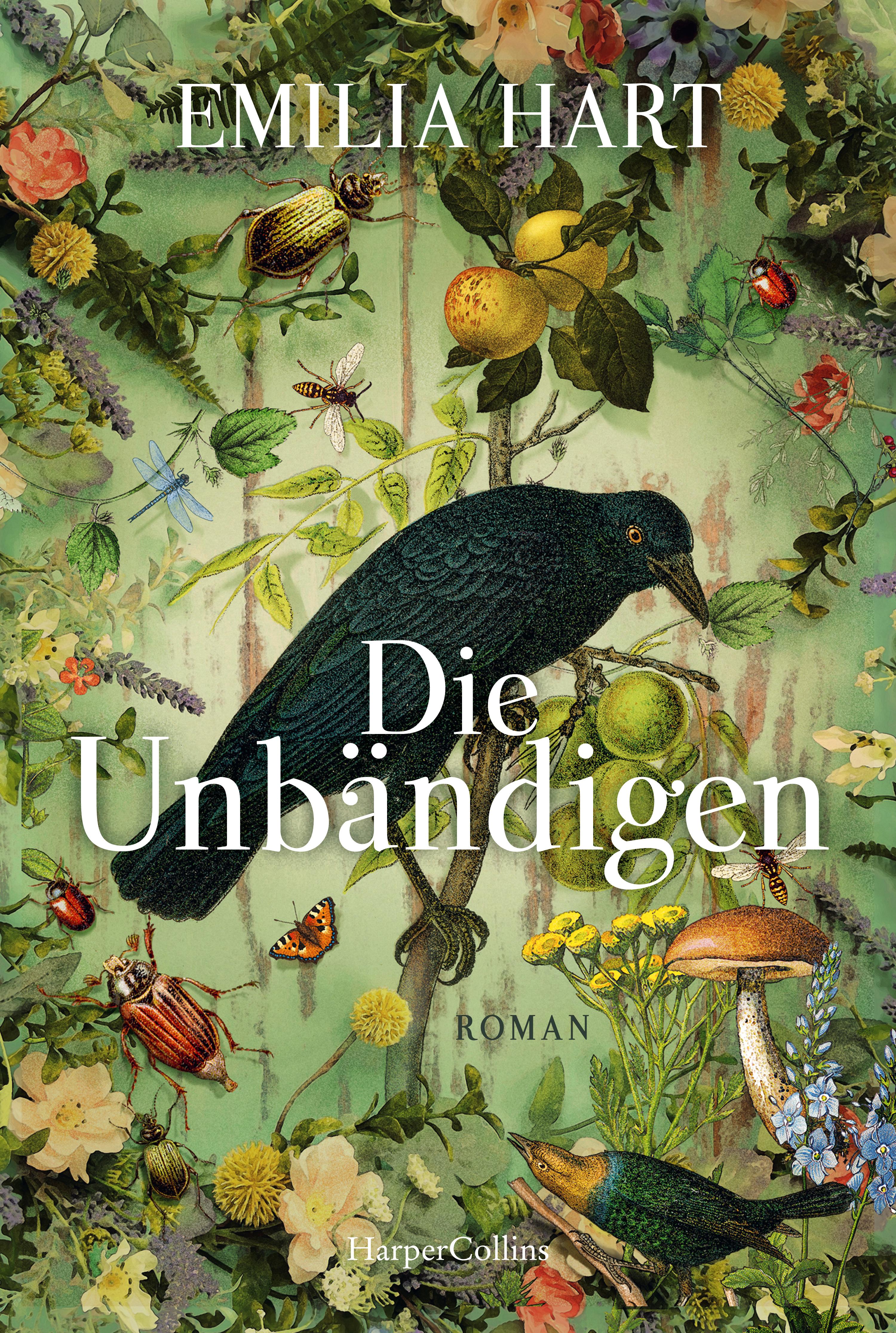 Vorderes Coverbild Die Unbändigen