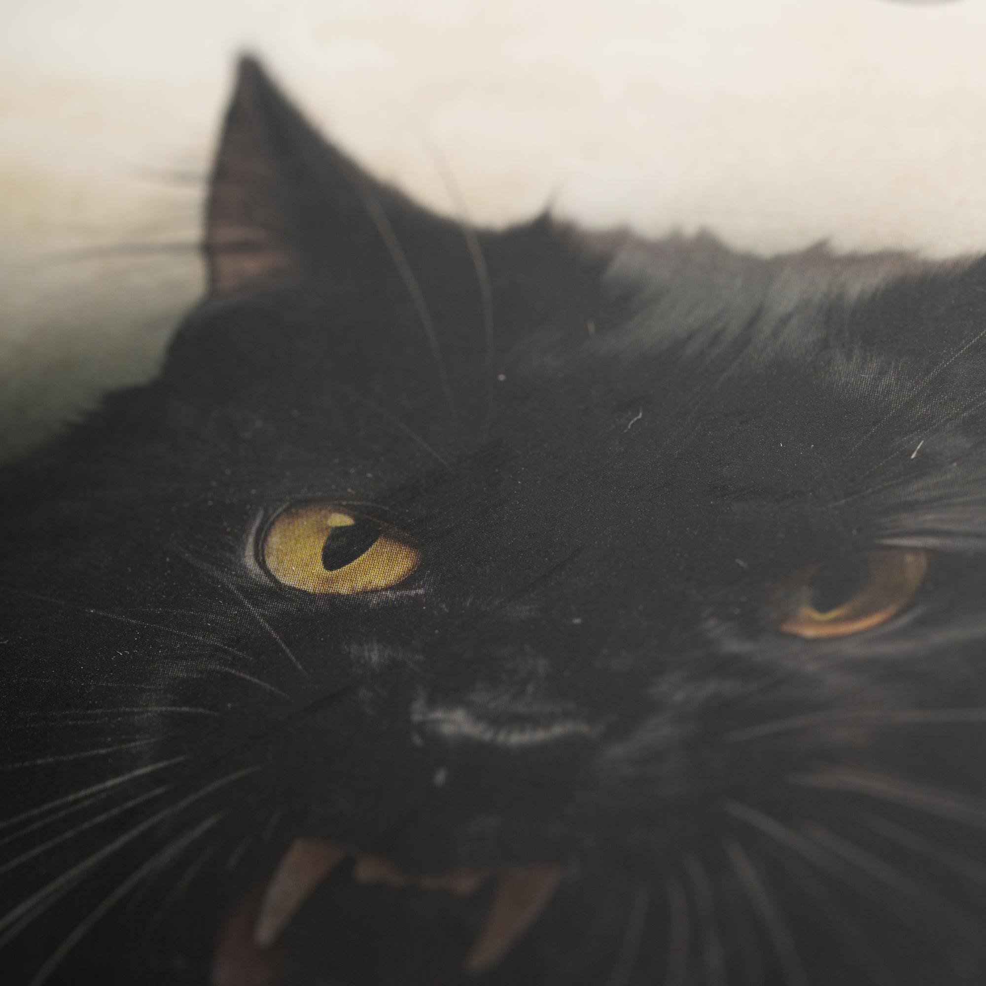 Beispielinhalt (Bild) Letzte Lügen