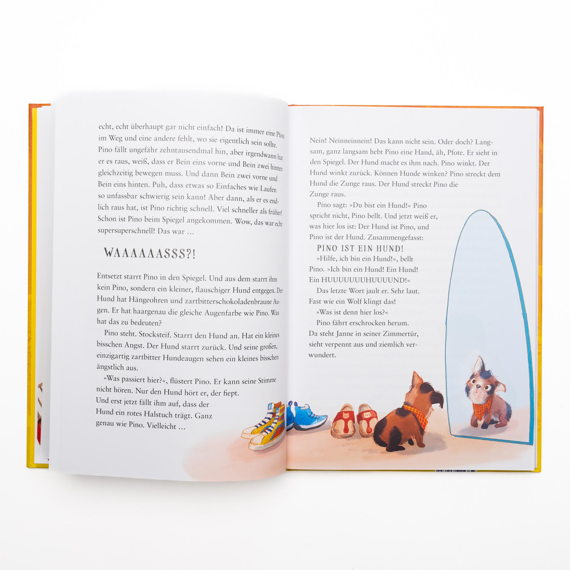 Beispielinhalt (Bild) Pino - Ein Abenteuer auf vier Pfoten