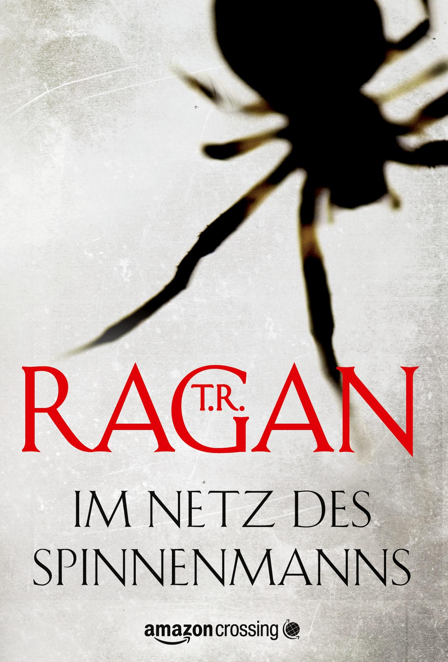 Vorderes Coverbild Im Netz des Spinnenmanns