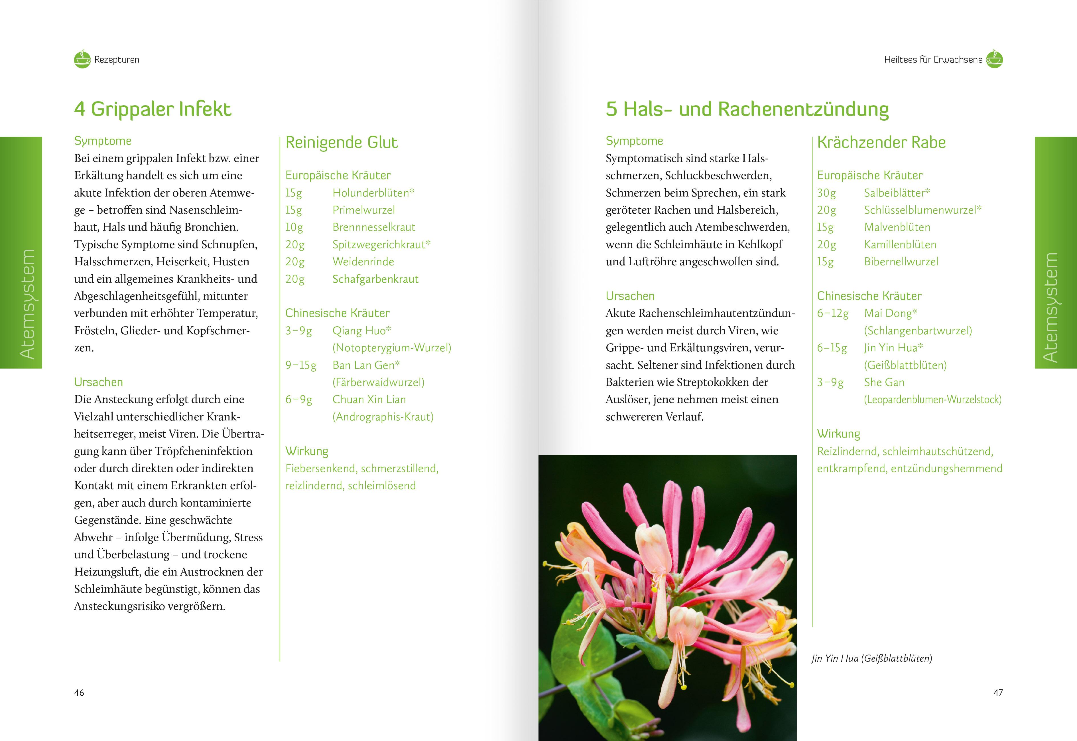 Beispielinhalt (Bild) Heiltees für Körper, Geist und Seele