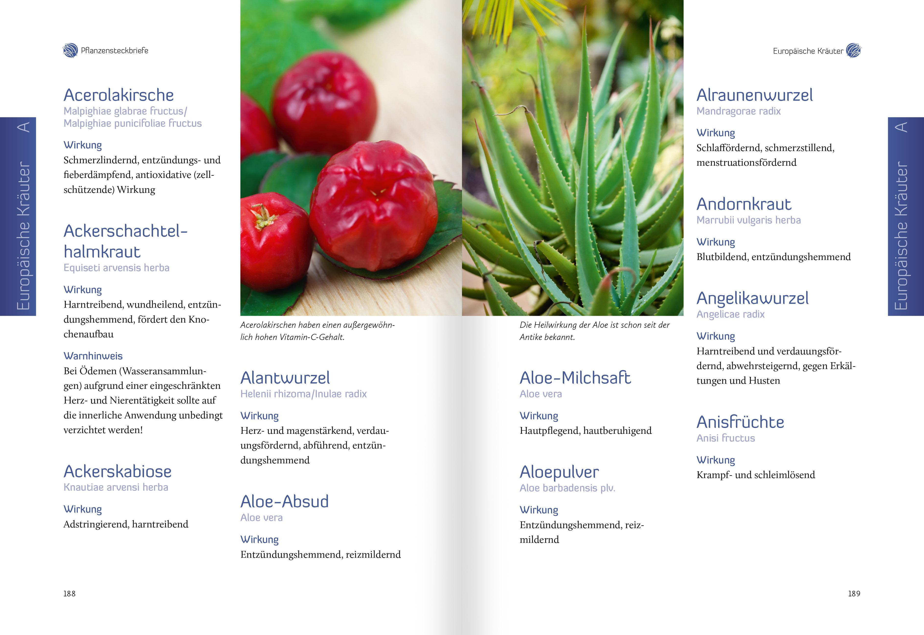 Beispielinhalt (Bild) Heiltees für Körper, Geist und Seele