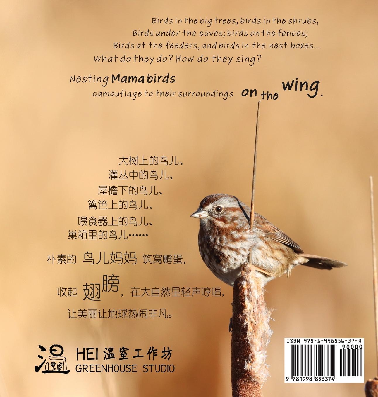 Rückseitencover On the Wing ¿¿ - North American Birds 3