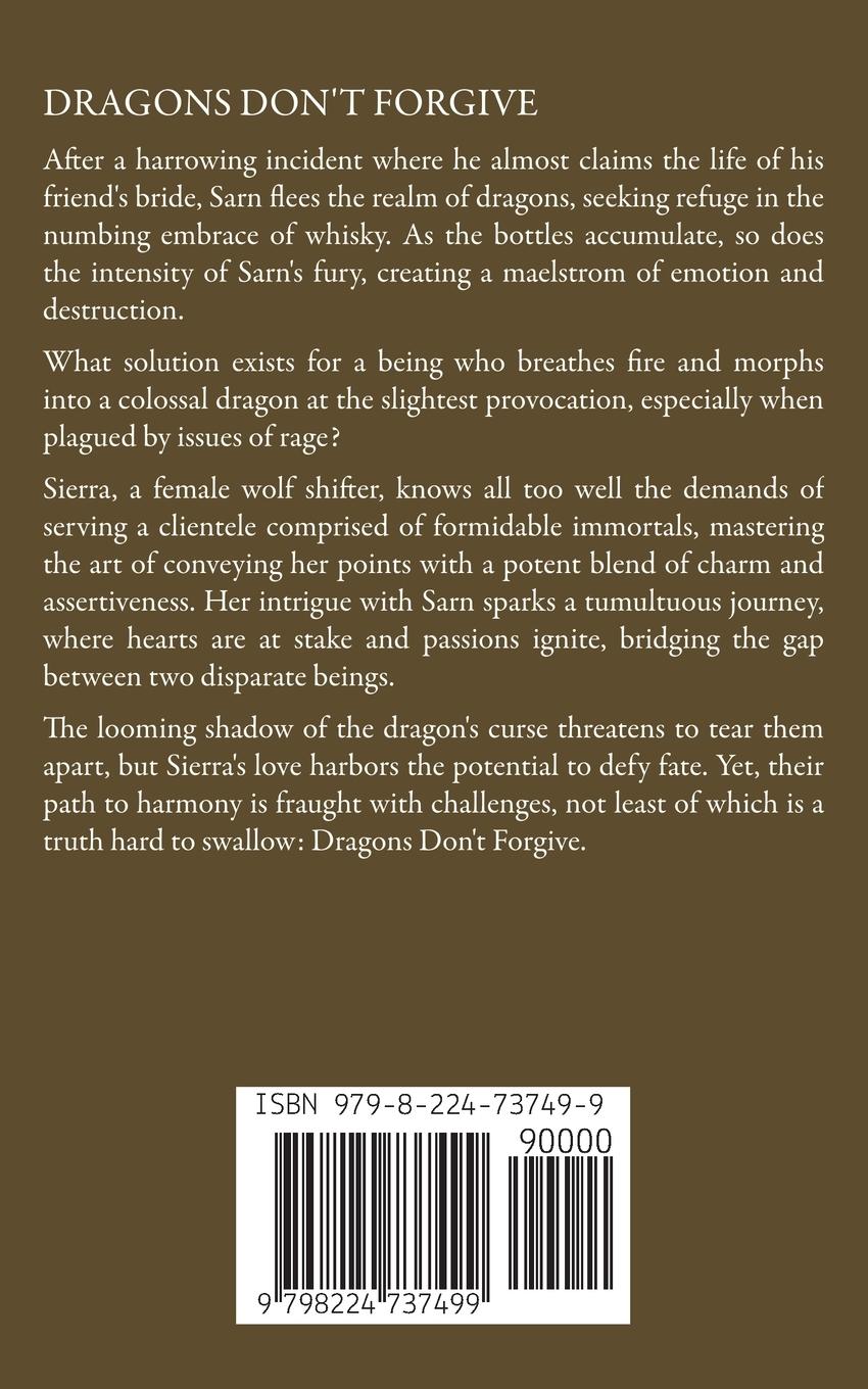 Rückseitencover Dragons Don't Forgive