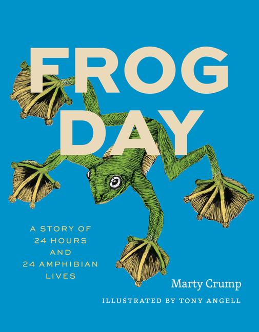 Vorderes Coverbild Frog Day