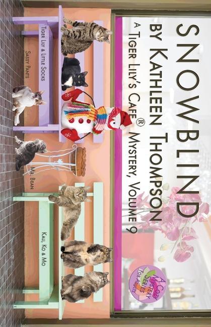 Vorderes Coverbild Snowblind