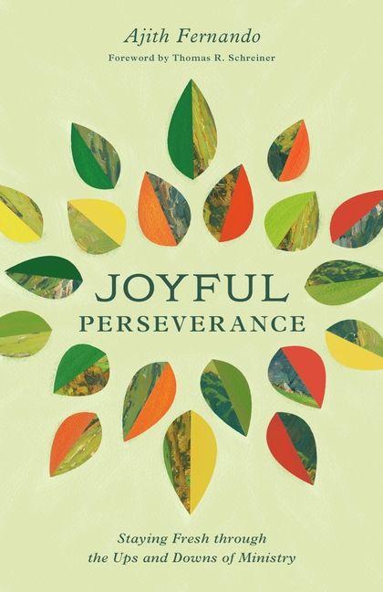 Vorderes Coverbild Joyful Perseverance