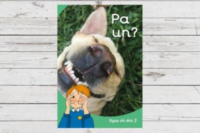 Vorderes Coverbild Dyna Chi Dric: Pa Un?
