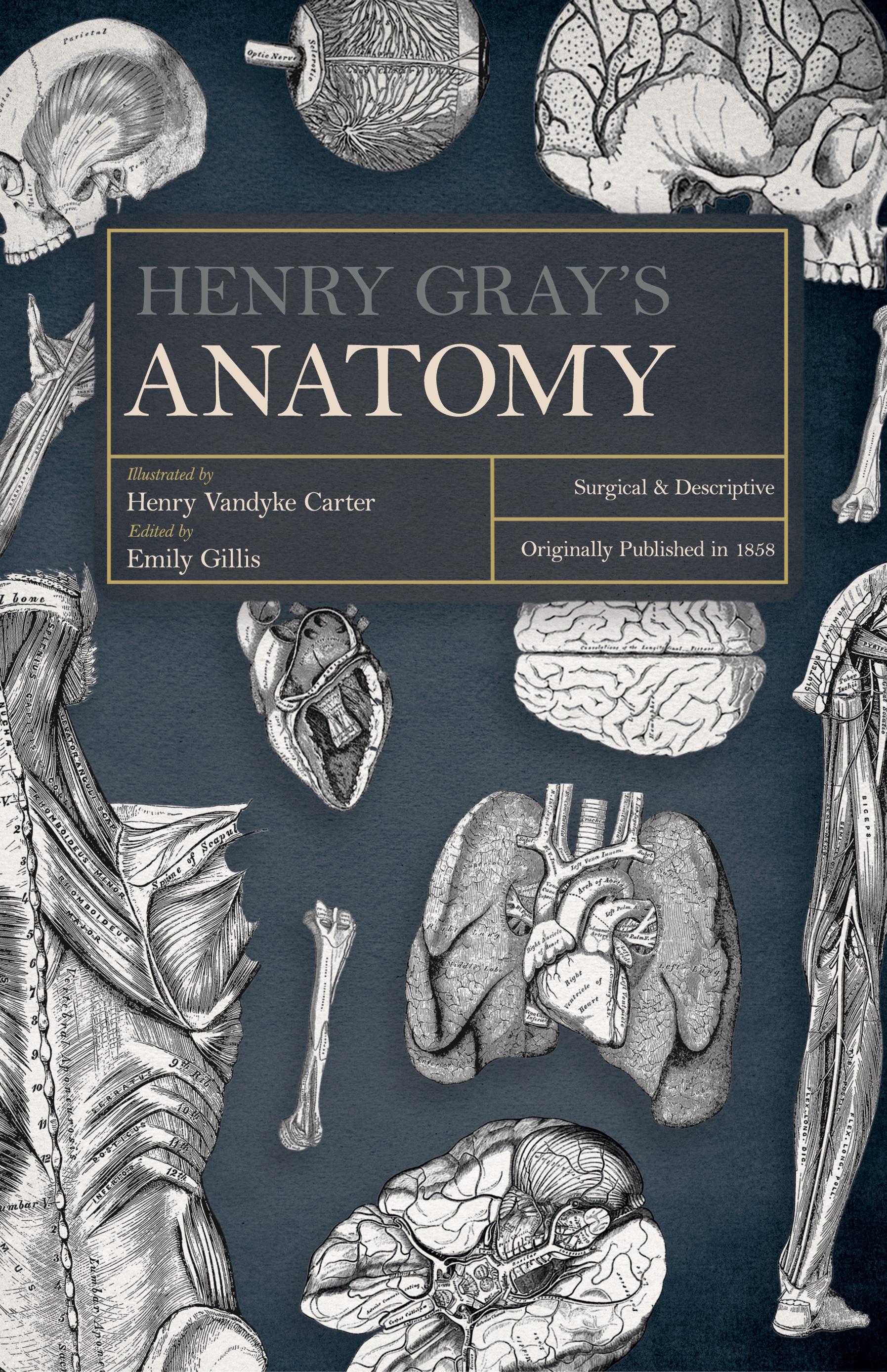 Vorderes Coverbild Henry Gray's Anatomy