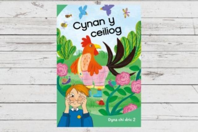 Vorderes Coverbild Dyna Chi Dric: Cynan y Ceiliog