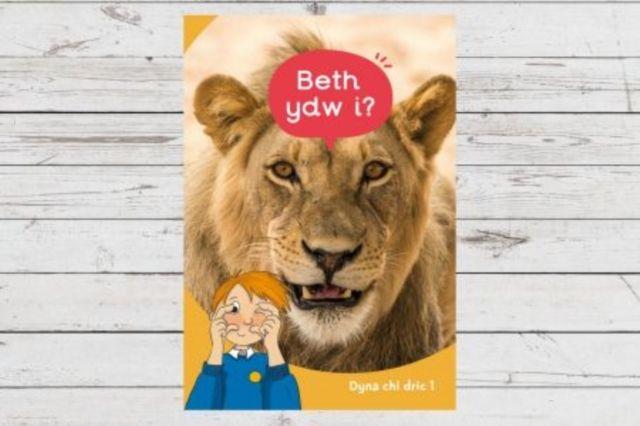 Vorderes Coverbild Dyna Chi Dric: Beth Ydw I?