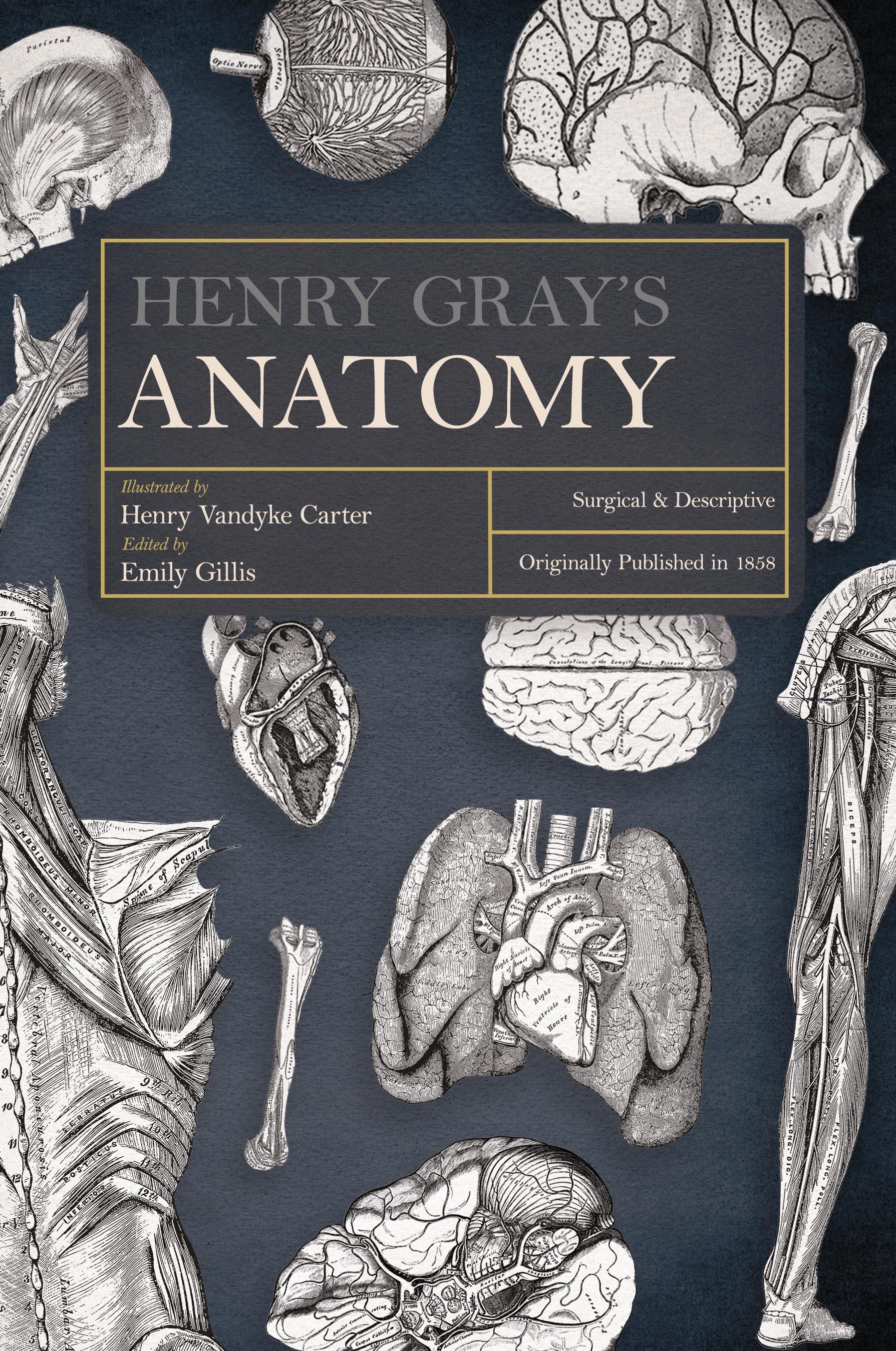 Vorderes Coverbild Henry Gray's Anatomy