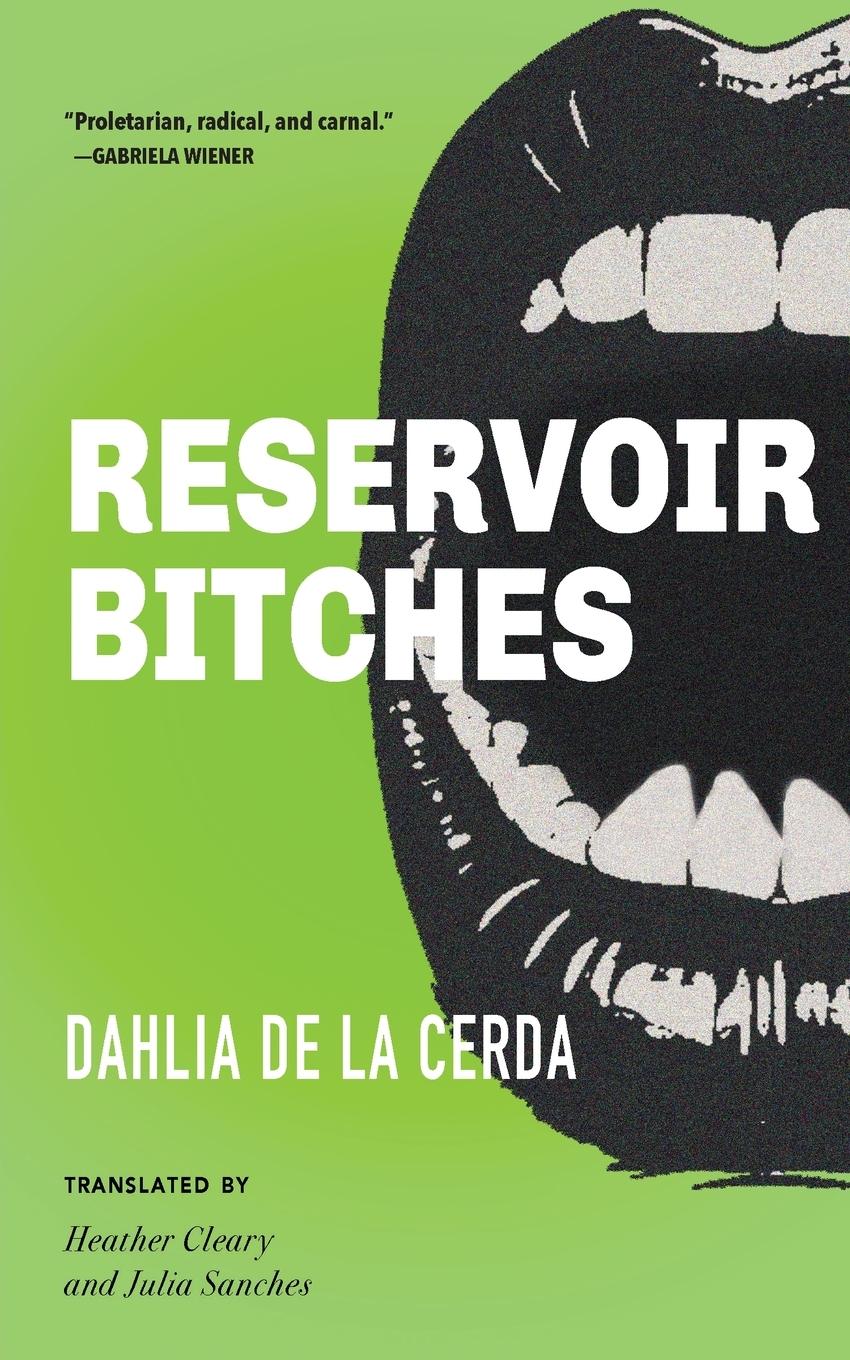 Vorderes Coverbild Reservoir Bitches