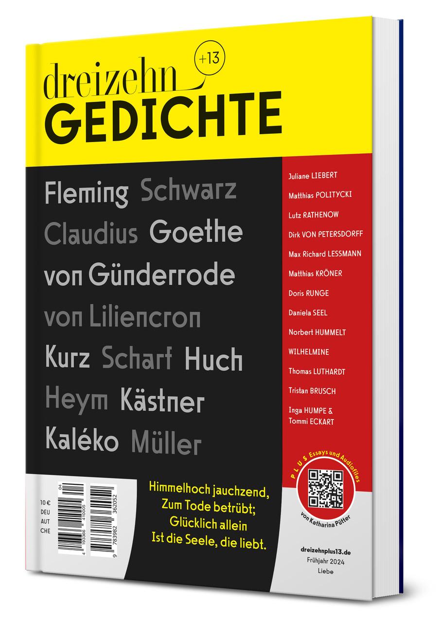 Vorderes Coverbild dreizehn +13 Gedichte