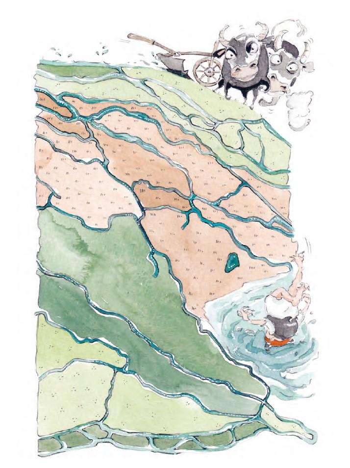 Beispielinhalt (Bild) Im Reich des Wassermanns