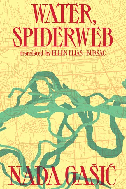 Vorderes Coverbild Water, Spiderweb