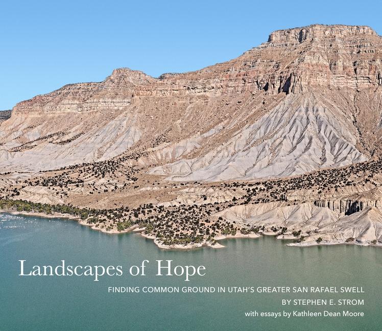 Vorderes Coverbild Landscapes of Hope