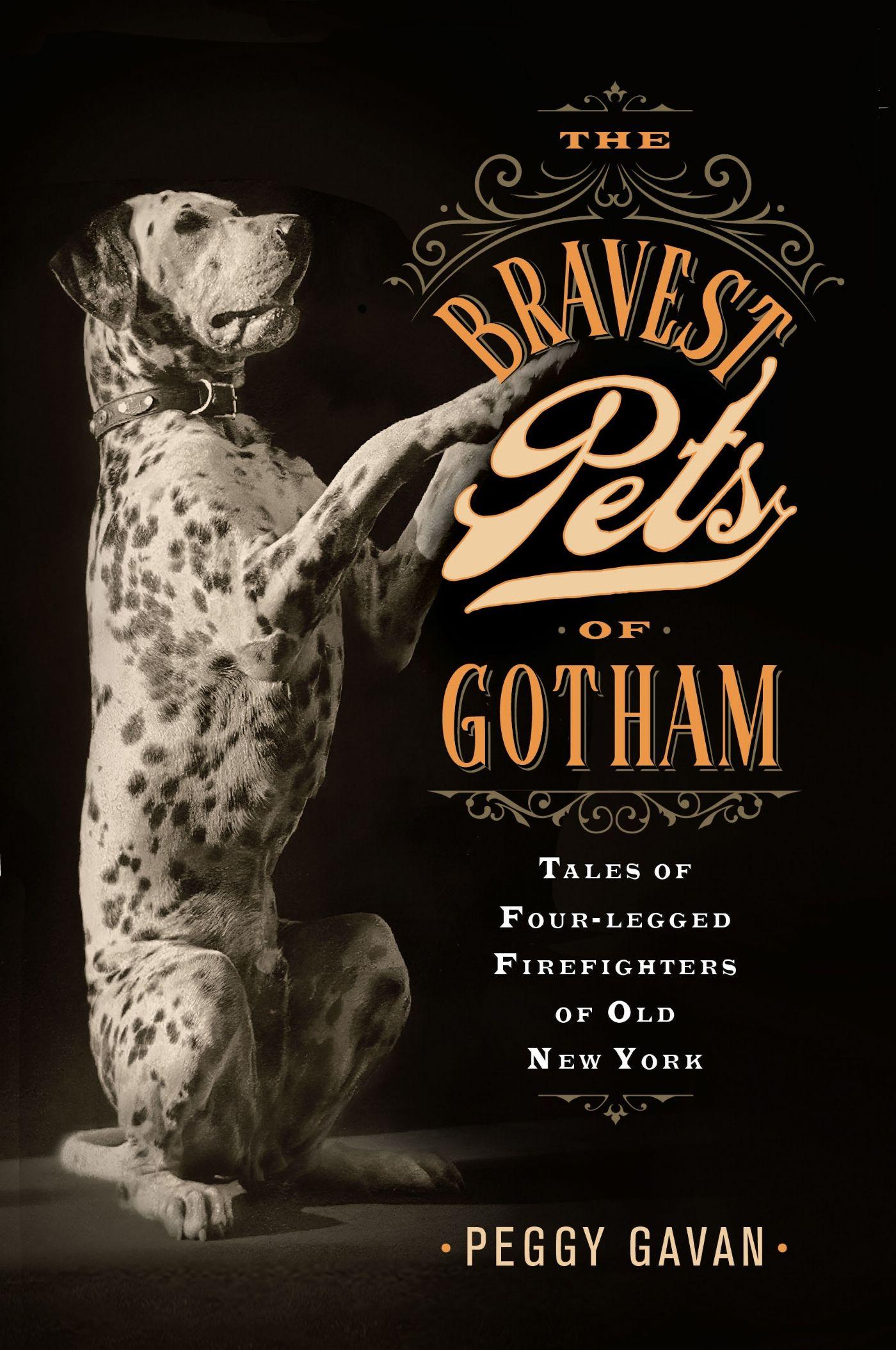 Vorderes Coverbild The Bravest Pets of Gotham