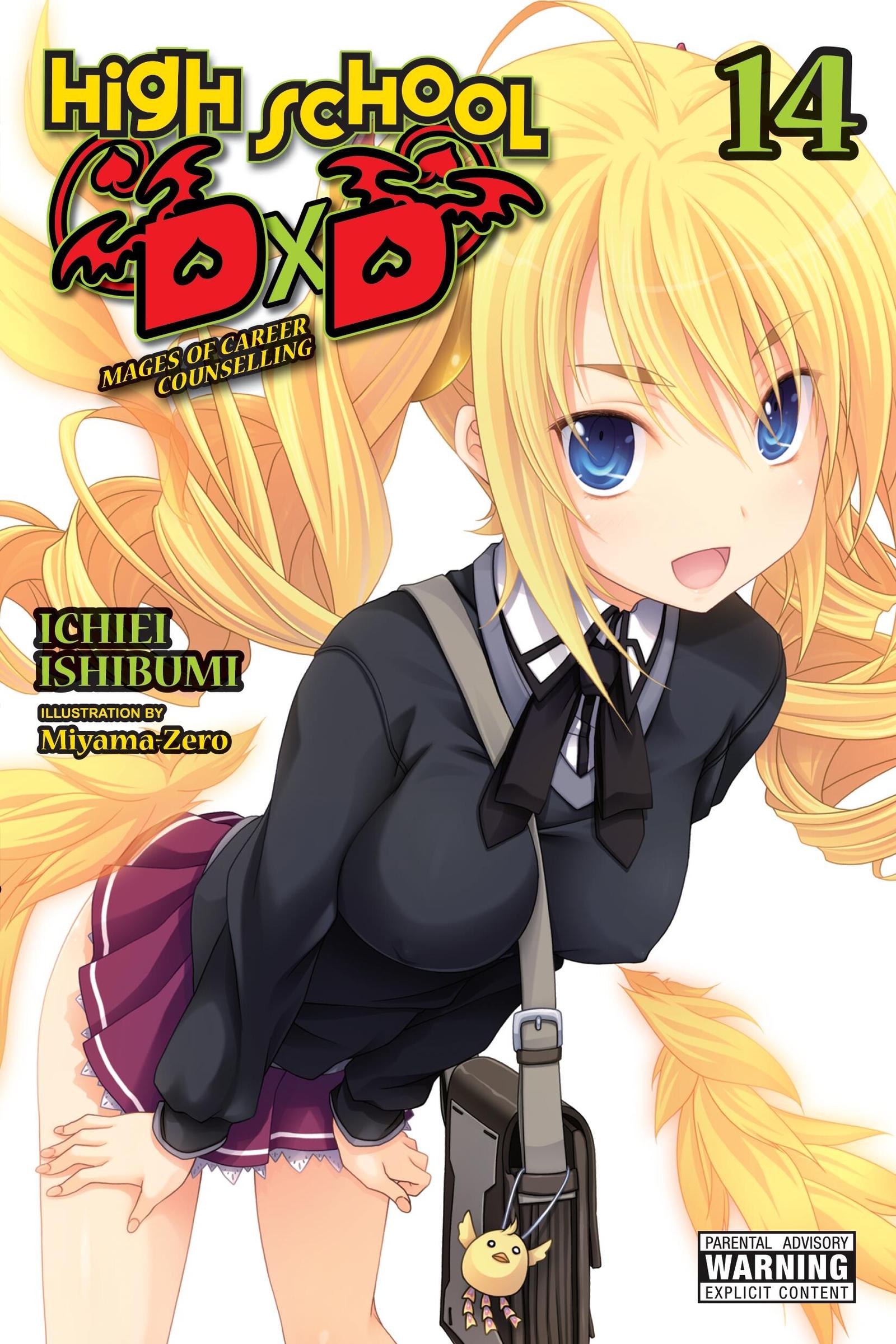 Vorderes Coverbild High School DXD, Vol. 14 (Light Novel)