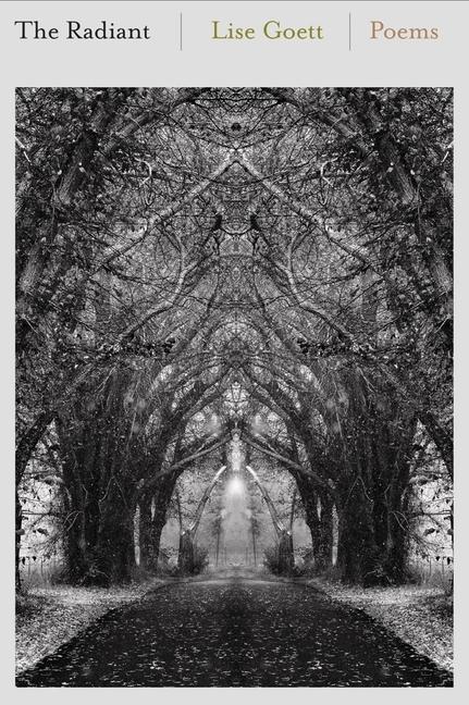 Vorderes Coverbild The Radiant