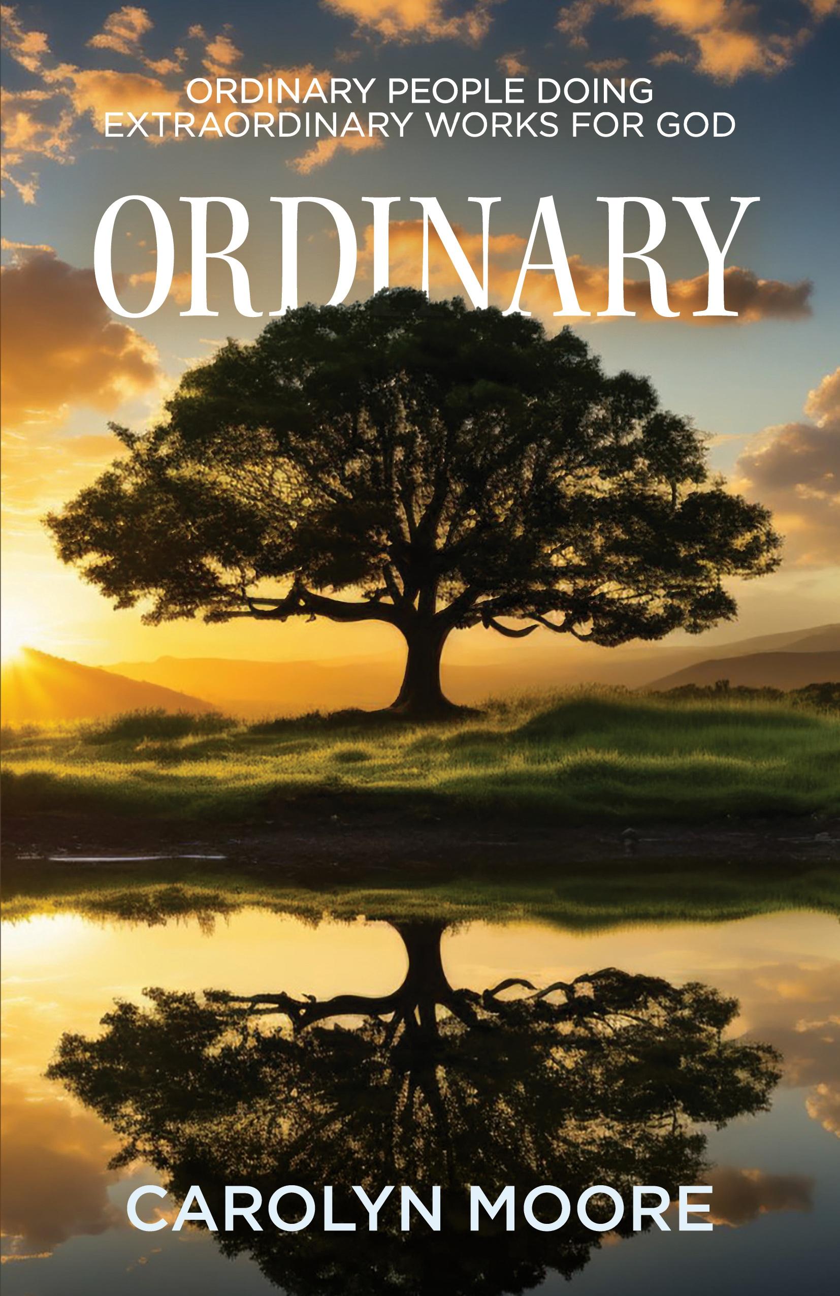 Vorderes Coverbild Ordinary
