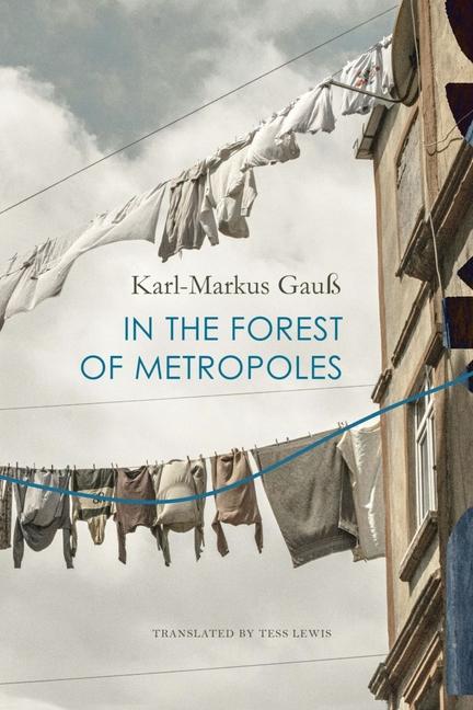 Vorderes Coverbild In the Forest of Metropoles