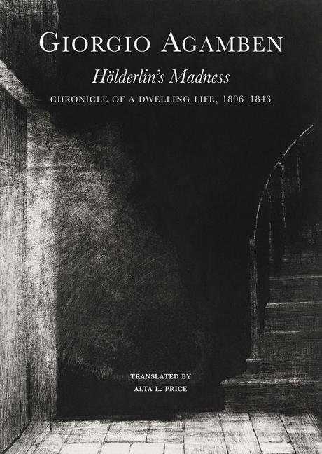 Vorderes Coverbild Hölderlin's Madness