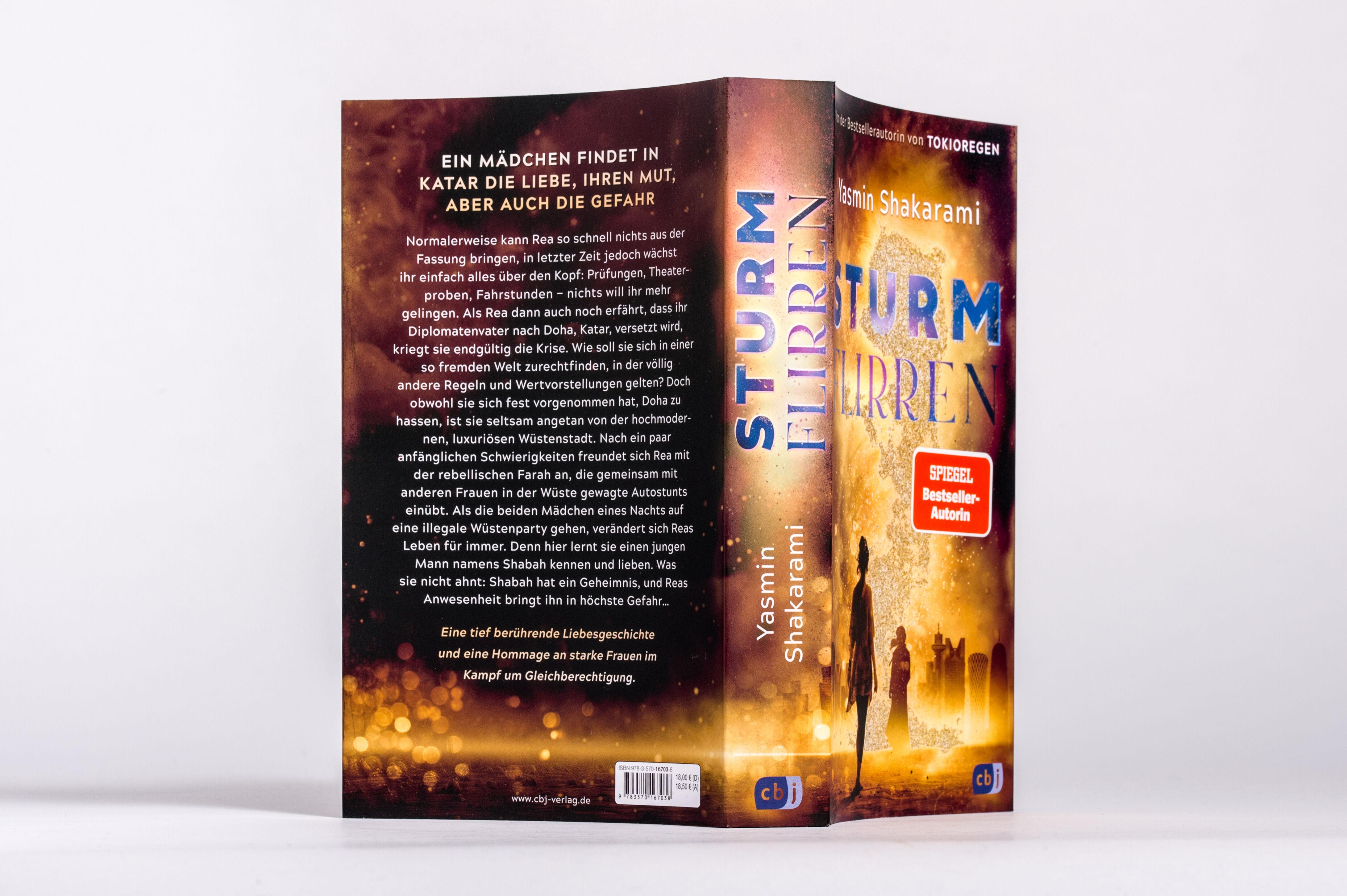 Beispielinhalt (Bild) Sturmflirren